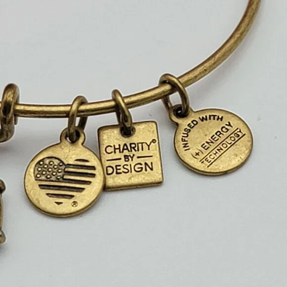 ALEX AND ANI Take The Wheel Charm Expandable Bangle Bracelet 7" Gold Tone Brass - Picture 3 of 5